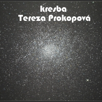 výstava Prokopová