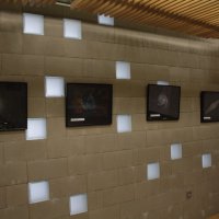 img_3392