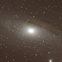 M31