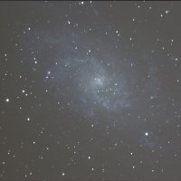 M33