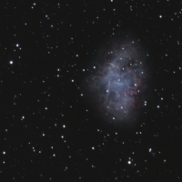 M1