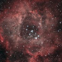 ngc2237_rosette_aam