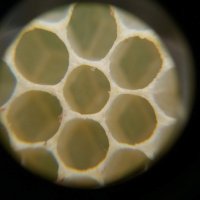krouzek_6