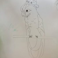 krouzek__22