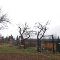 krouzek__26