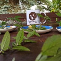 img_20210923_083527